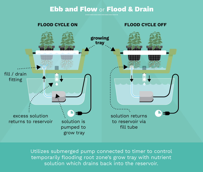 6 Basic Types Of Hydroponic Systems