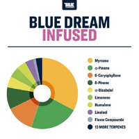 True Terpenes Blue Dream - 5ML | Flavour Infused