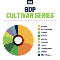 True Terpenes GDP - 5ML | Cultivar Series