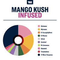 True Terpenes Mango Kush - 5ML | Flavour Infused