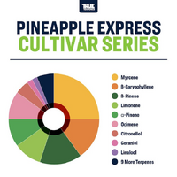 True Terpenes Pineapple Express - 5ML | Cultivar Series