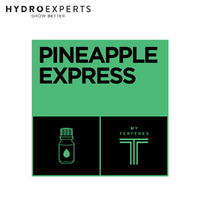 My Terpenes Pineapple Express Terpene - 5ML