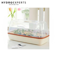 Romberg Boqube M Growing Tray Box - Cream-Copper | 37CM x 19CM x 6CM | Propagation | Cuttings