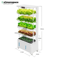 XGreenSpace 4-Tier Hypro Planter - H5A | Hydroponic System