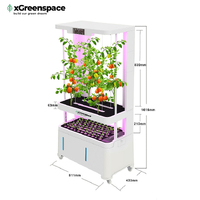 XGreenSpace 3-Tier Hypro Planter - H5B | Hydroponic System