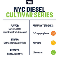 True Terpenes NYC Diesel - 5ML | Cultivar Series