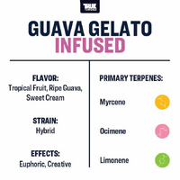 True Terpenes Guava Gelato - 5ML | Flavour Infused