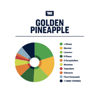 True Terpenes Golden Pineapple - 5ML | Flavour Infused