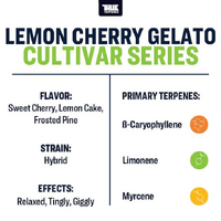 True Terpenes Lemon Cherry Gelato - 5ML | Cultivar Series