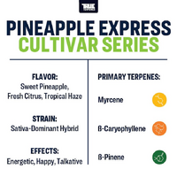 True Terpenes Pineapple Express - 5ML | Cultivar Series