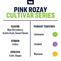 True Terpenes Pink Rozay - 5ML | Cultivar Series