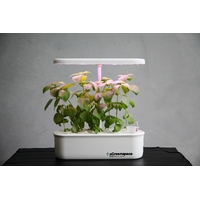 XGreenSpace MiniBlock C08 8 Plants Hydroponic System