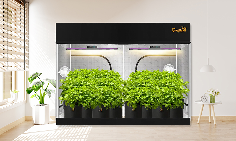 hydroponic grow tent, hydroponics, grow lights, climate control, Australia gardening, grow room ventilation, hydroponics nutrients and additives, pH, EC, grow media, coco coir, perlite, clay balls