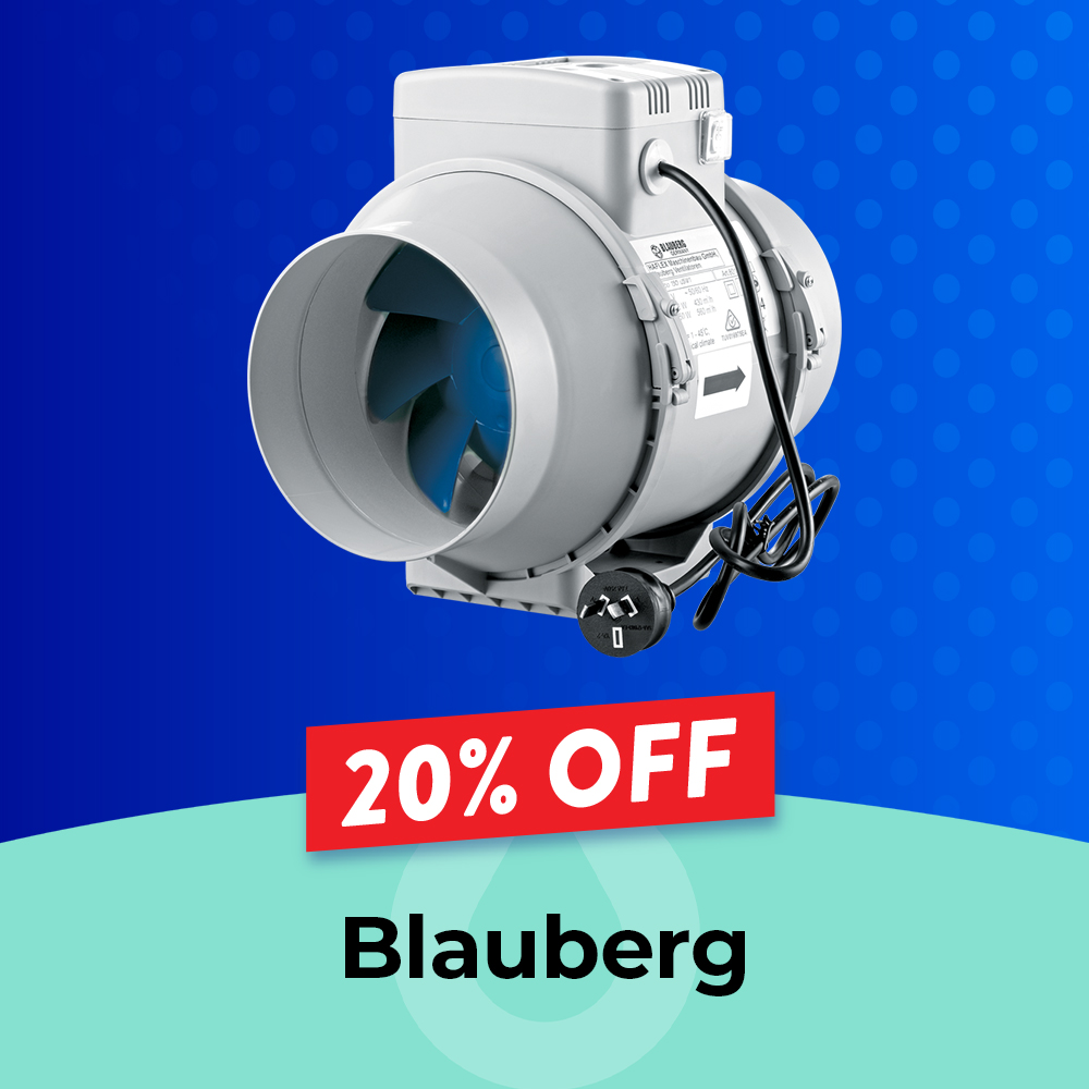 Blauberg 30%