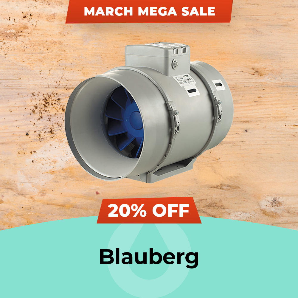 March Mega Sale 2025 Blauberg - 20% Off