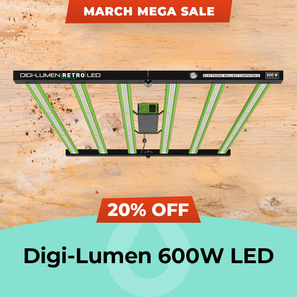 March Mega Sale 2025 Digi-Lumen 600W - 20% Off