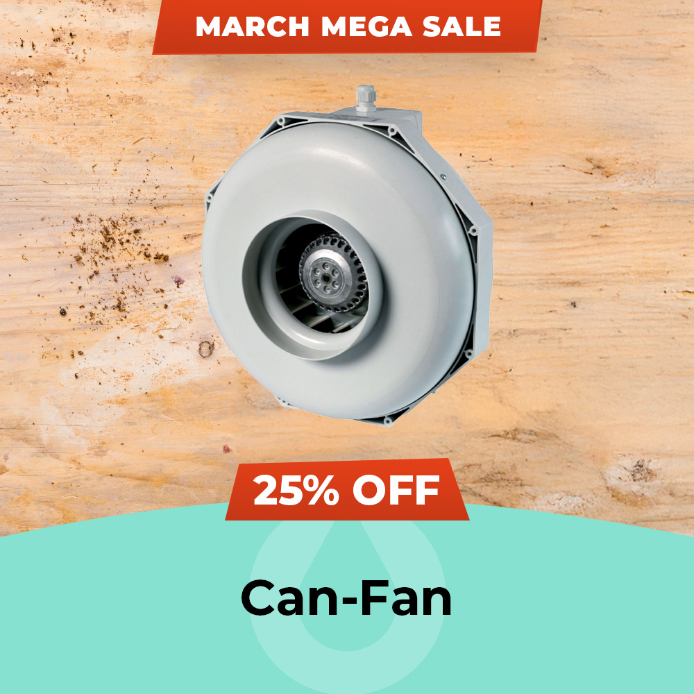 March Mega Sale 2025 Can-Fan - 25% Off