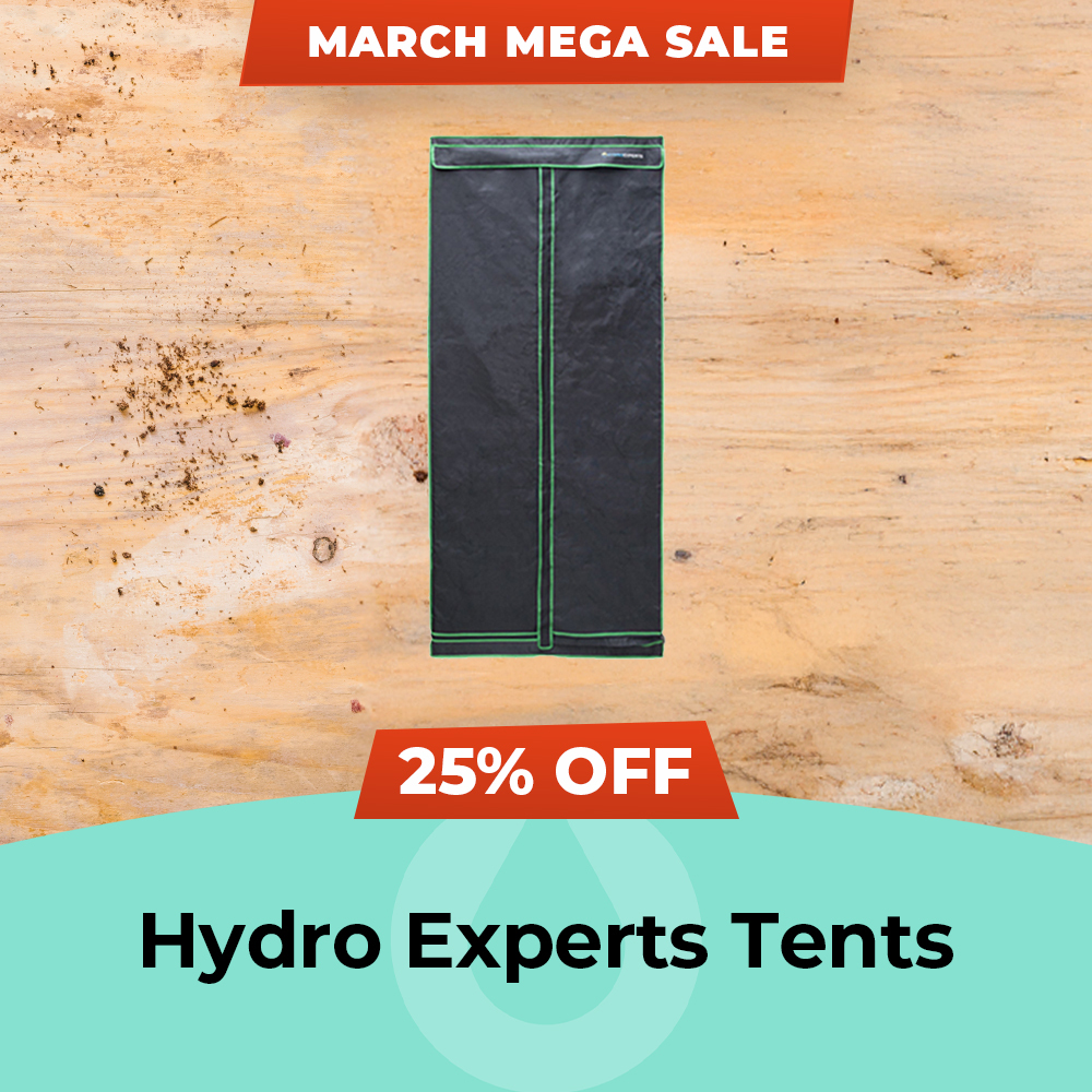 March Mega Sale 2025 Hydro Experts - 25% Off