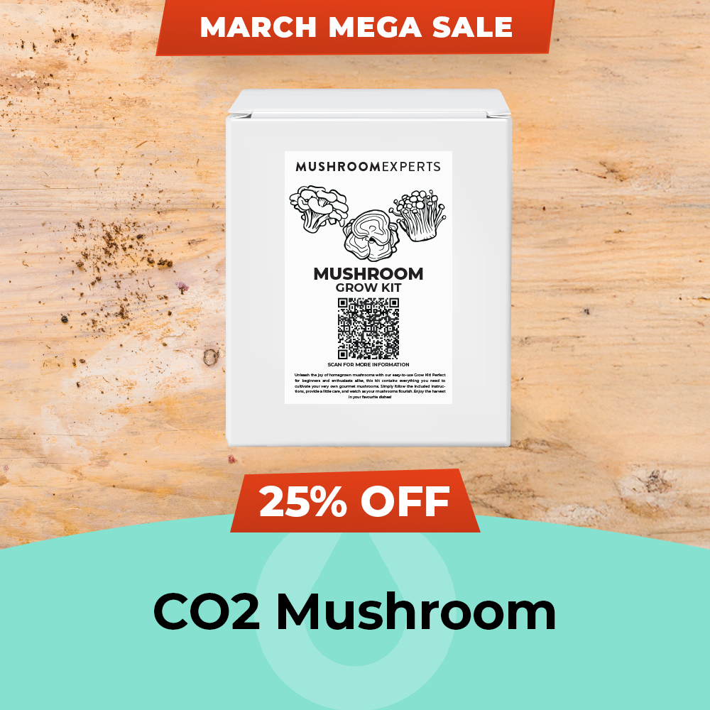 March Mega Sale 2025 Mushroom Experts - 25% Off