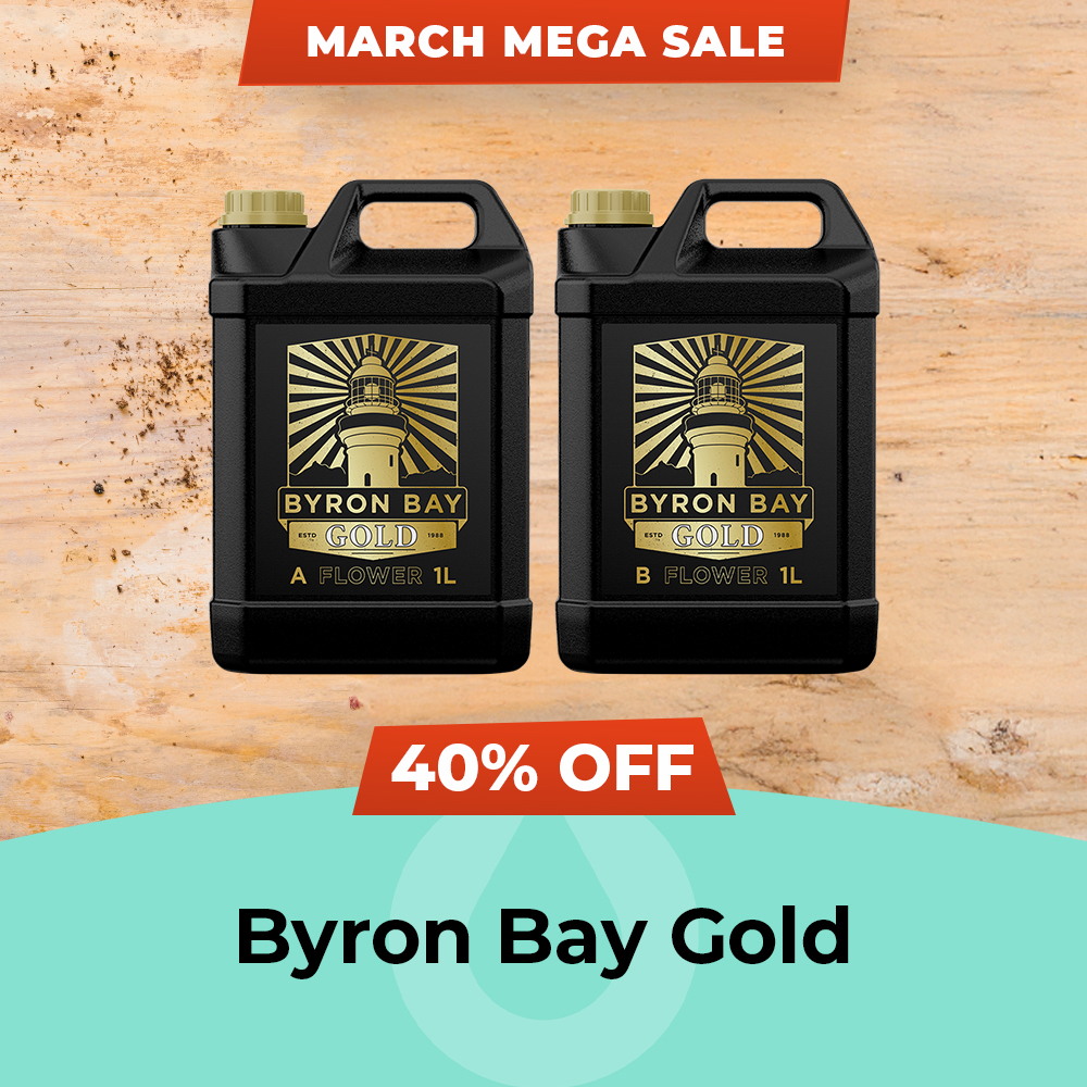 March Mega Sale 2025 Byron Bay Gold - 40% Off