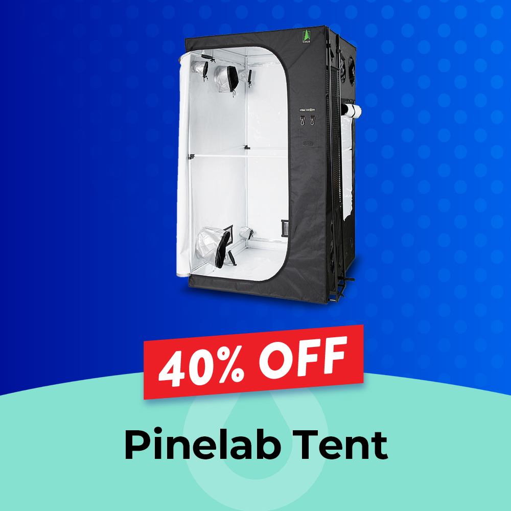 Pinelab 40% off