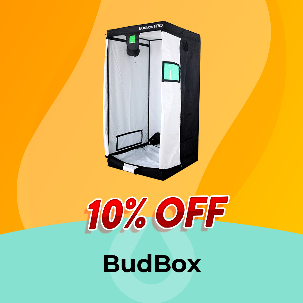 BudBox - 10% Off