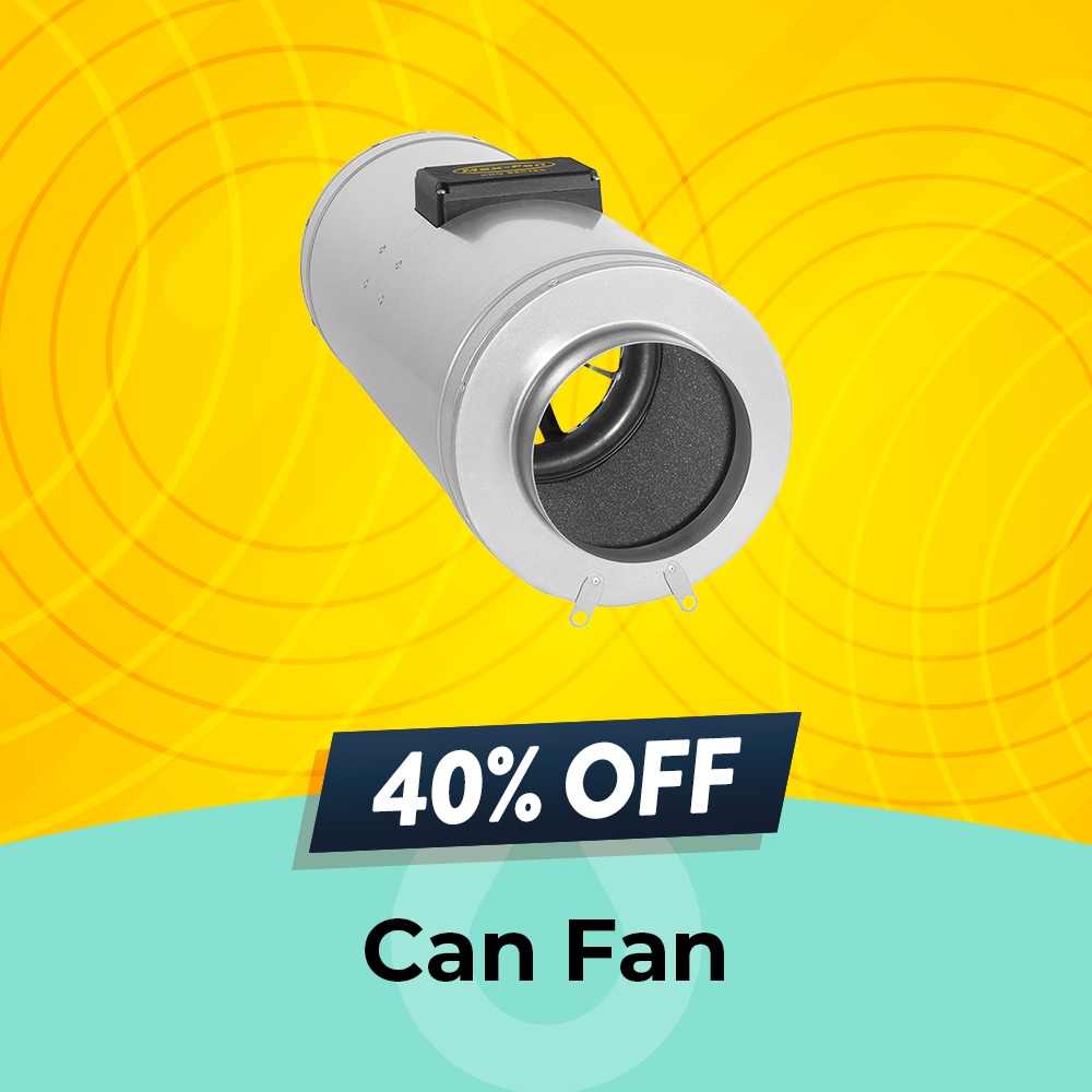 Can Fan 40% off