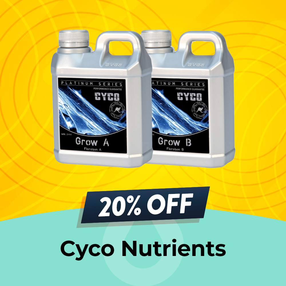 Cyco 20% off