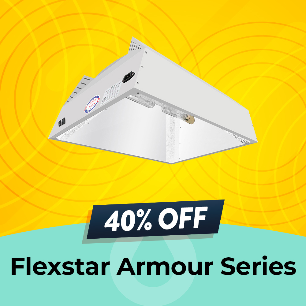 Flexstar 40% Off