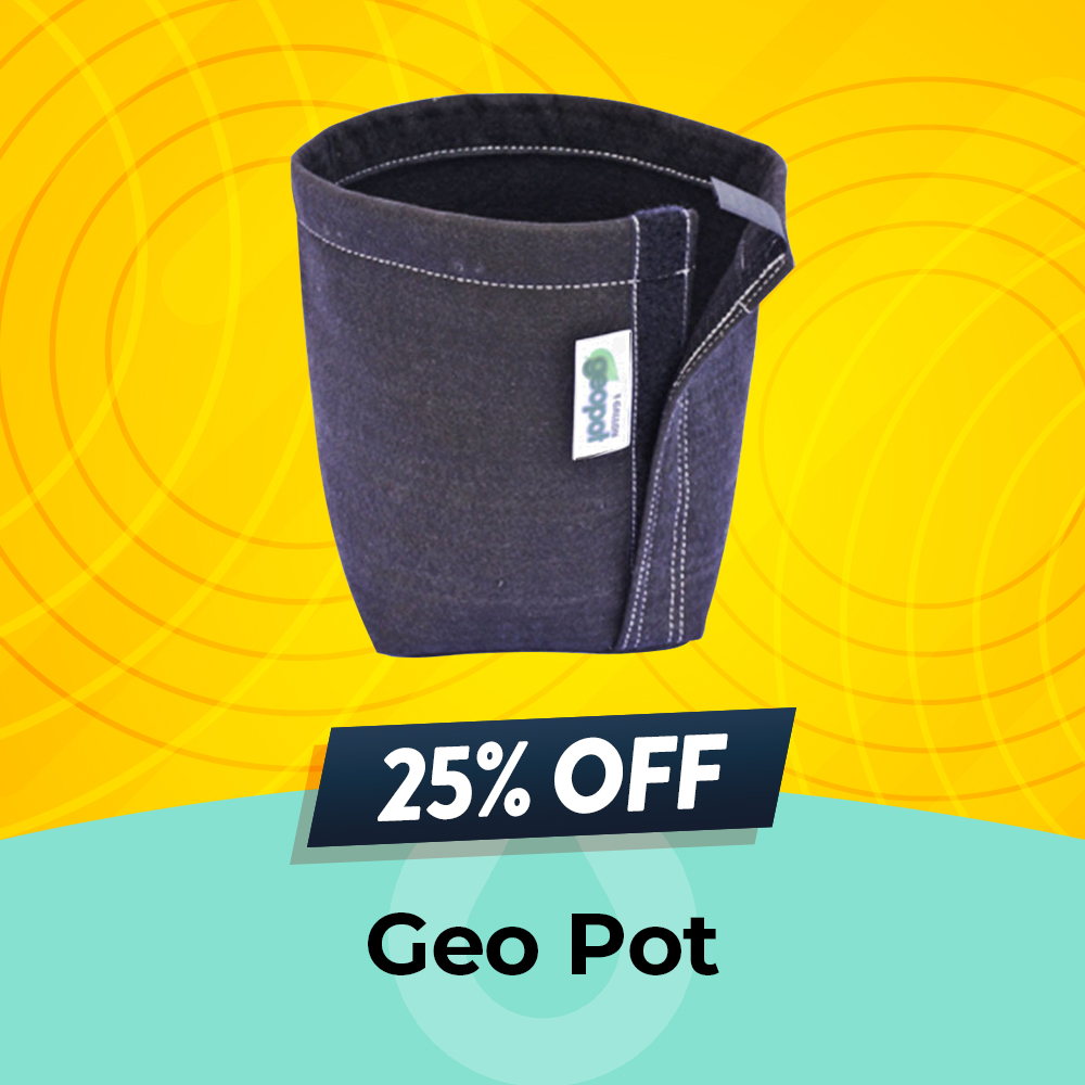 GeoPot 25% Off