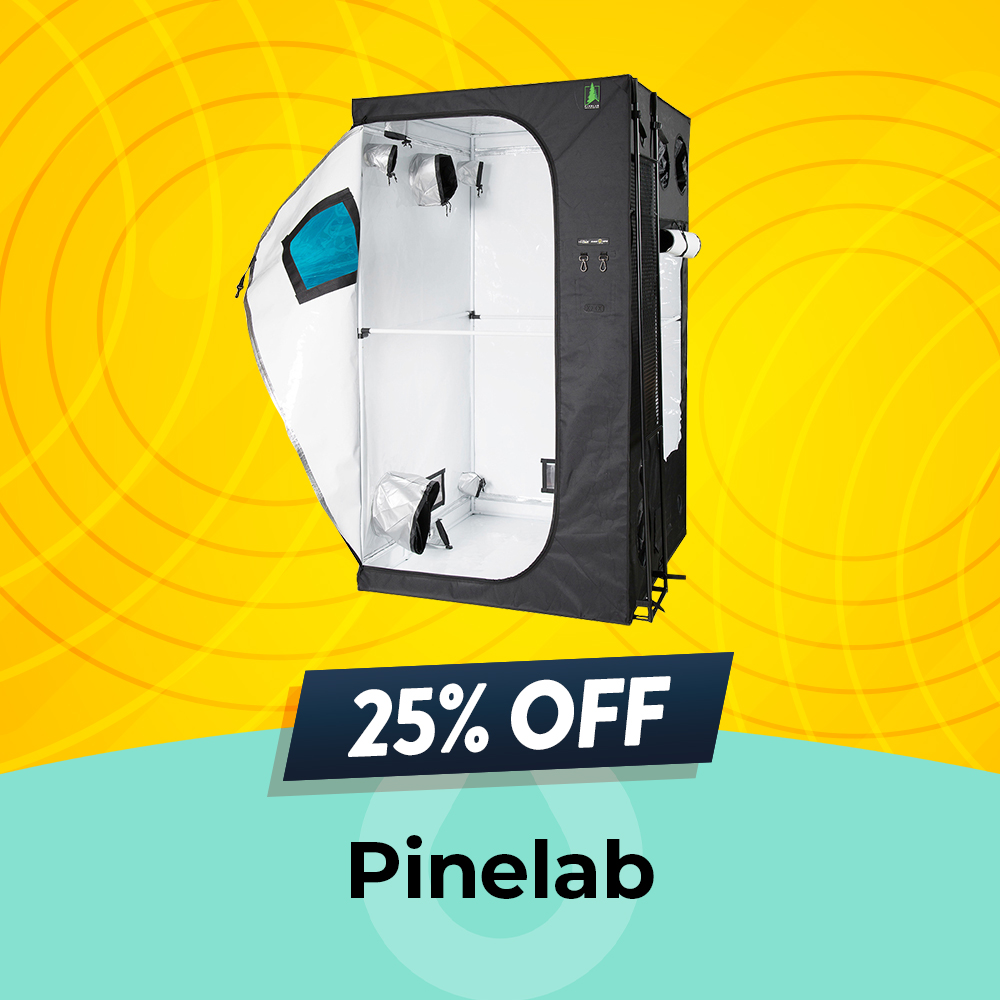 Pinelab offer