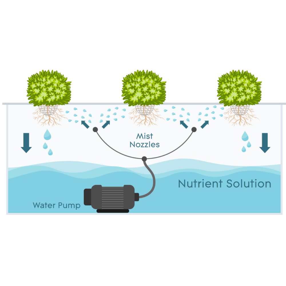 hydroponic supplies, hydroponic gardening Australia, beginner hydroponic setup, essential hydroponic tools, hydroponic systems, aeroponics