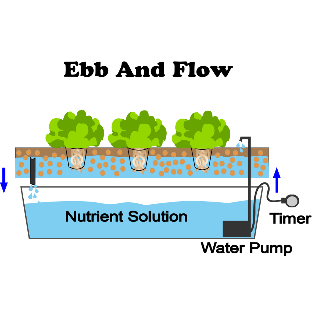 hydroponic supplies, hydroponic gardening Australia, beginner hydroponic setup, essential hydroponic tools, hydroponic systems, Ebb and Flow (Flood & Drain)