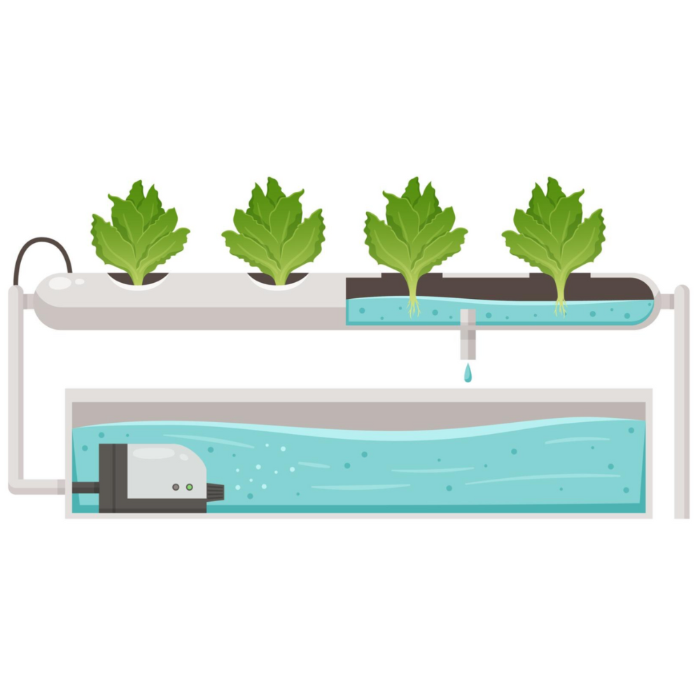 Nutrient Film Technique (NFT), hydroponic supplies, hydroponic gardening Australia, beginner hydroponic setup, essential hydroponic tools, hydroponic systems