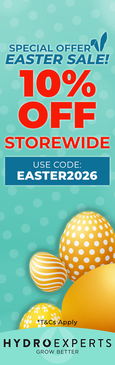 Easter Long Holiday Sale 2026 - 10% OFF Storewide
