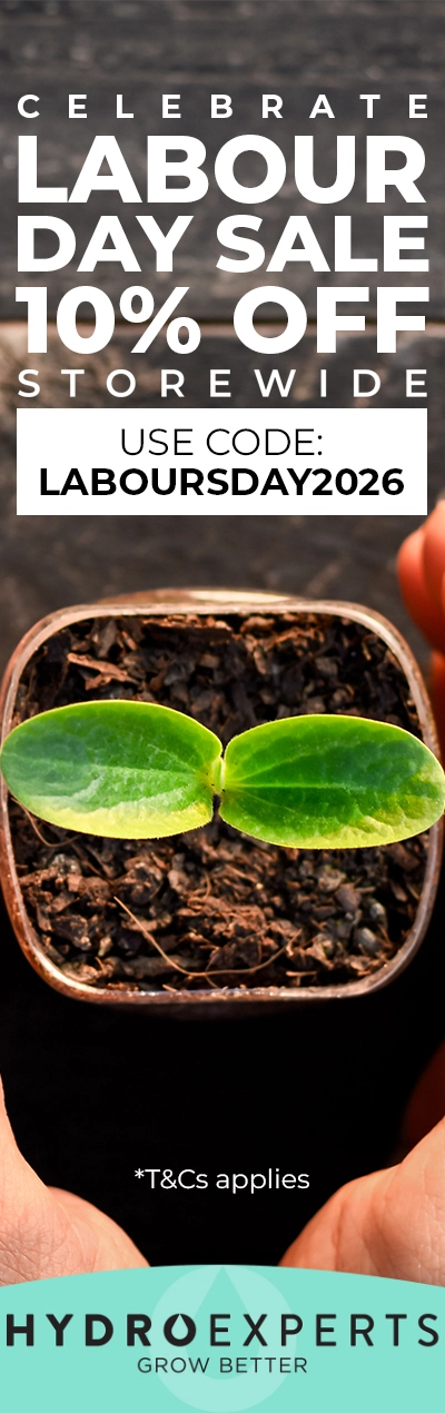 Labour's Day Sale 2026 - 10% Off Storewide