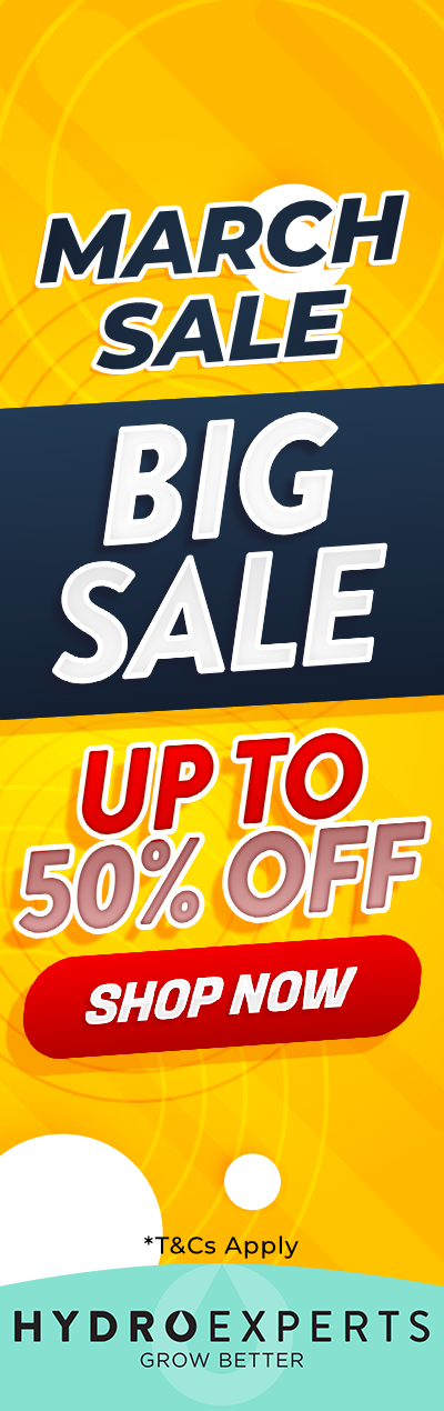 March Big Sale 2026 - Up To 50% OFF