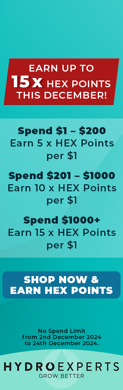 Earn Up to 15 x HEX Points This December