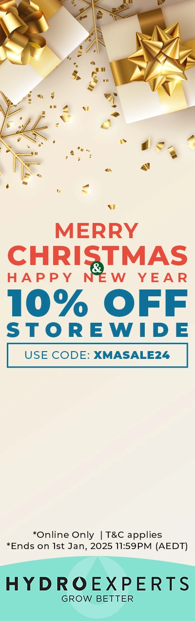 Christmas 2024 & New Years Sale 10% Off Storewide