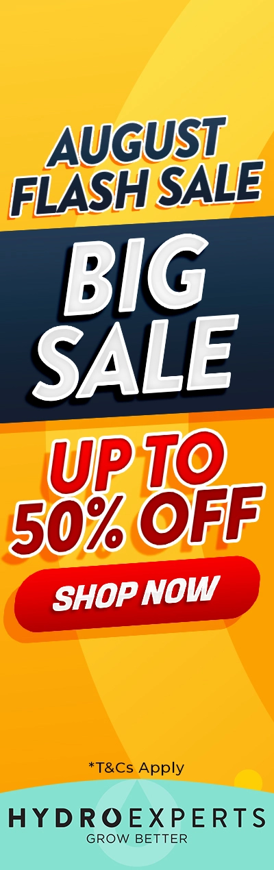 August Flash Sale 2026 - Up To 50% Off