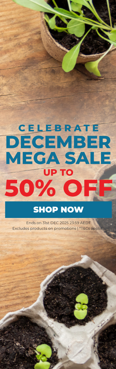 December End of Year Sale 2025 - Up To 50% Off