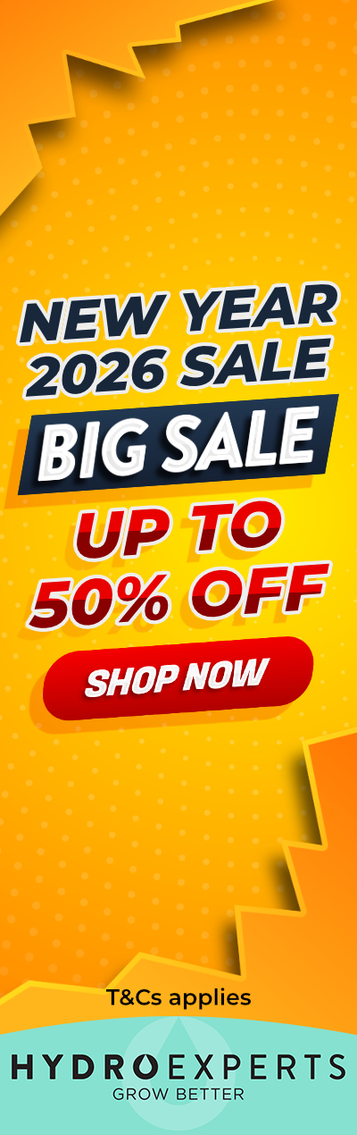 New Year 2026 Sale - Up To 50% Off