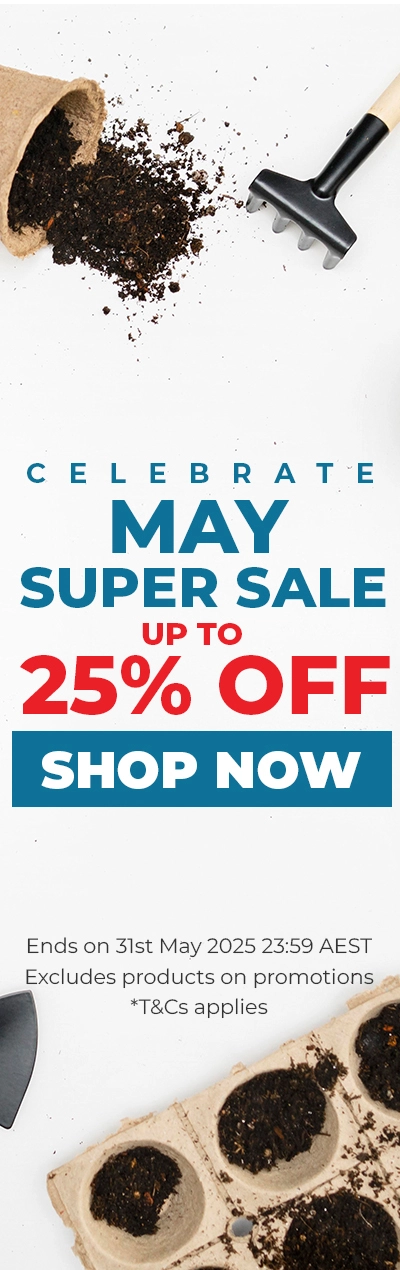 February Super Sale 2026 - Up To 50% OFF