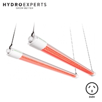 Mars Hydro VG40-R Red Propagation & Clone LED Bar - 40W | Non-Dimmable | IP65 | 60CM