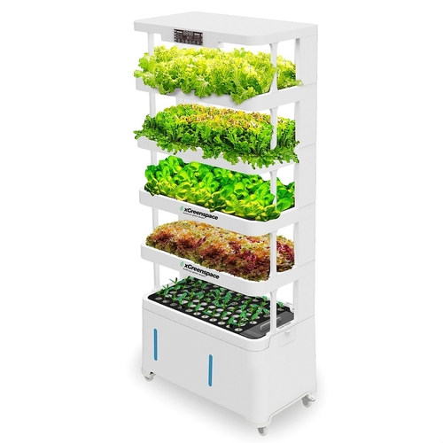 XGreenSpace 4-Tier Hypro Planter - H5A | Hydroponic System