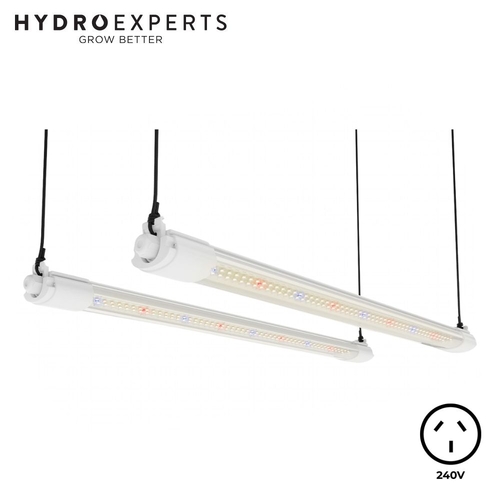 Mars Hydro VG40 Propagation & Clone LED Bar - 40W | 1.92 μmol/j | Non-Dimmable | IP65 | 60CM