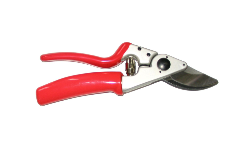 Fruit & Flower Shears