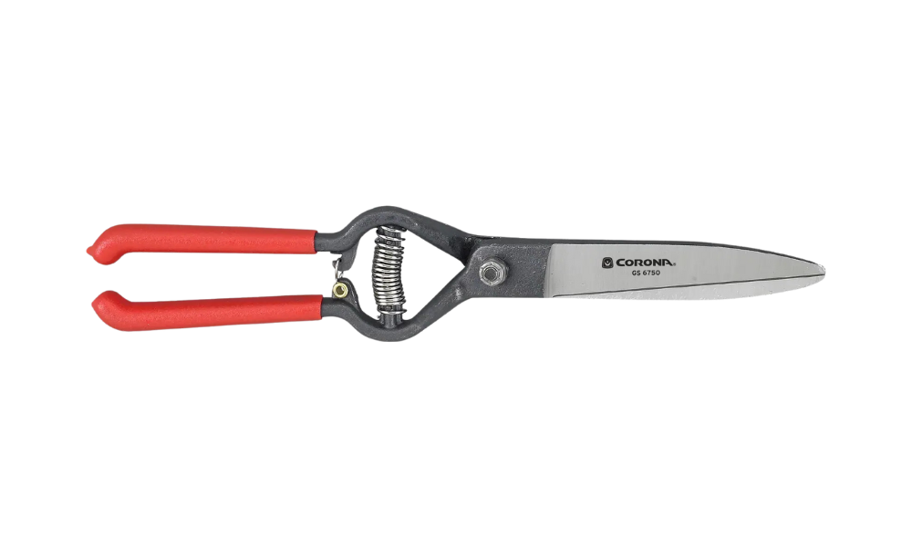 Hedge Shears