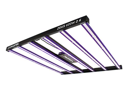 Hydroponic Grow Lights