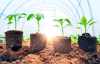 How to Improve Plant Growth with Micro-organisms